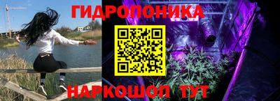молекула духа Ливны