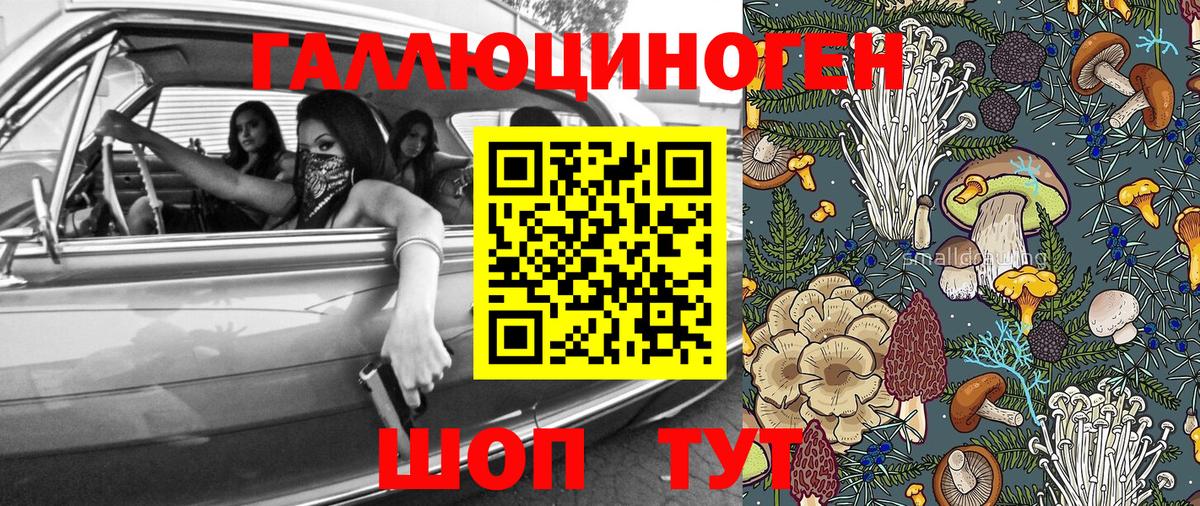 Псилоцибиновые грибы мицелий Гусиноозёрск