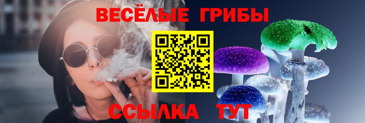 Гусиноозёрск  Псилоцибиновые грибы Psilocybine cubensis  Вход с VPN  Галлюциногенные грибы прущие грибы 